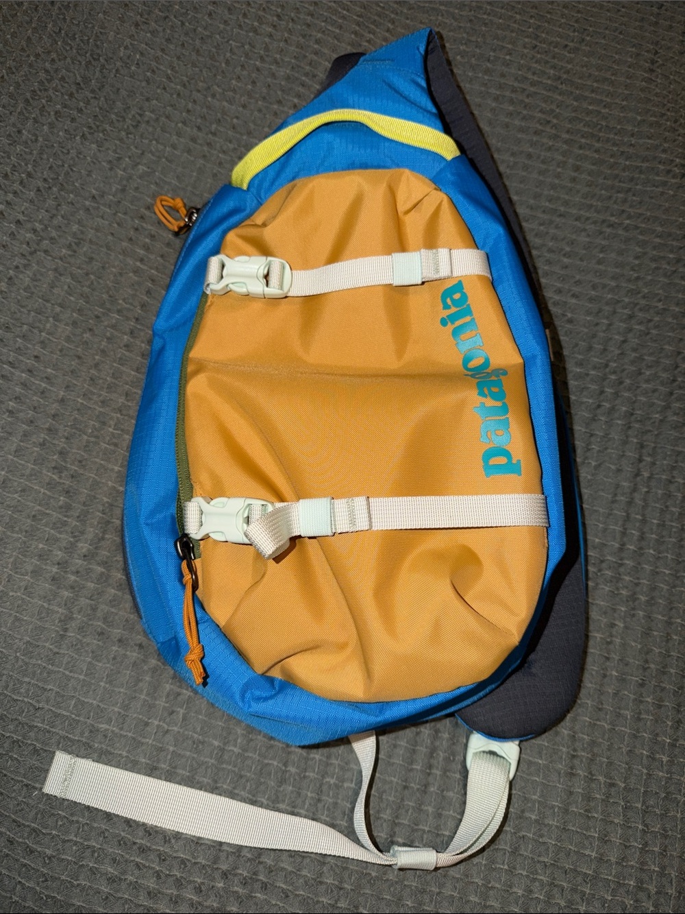 Patagonia Sling Bag